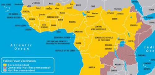 Yellow fever